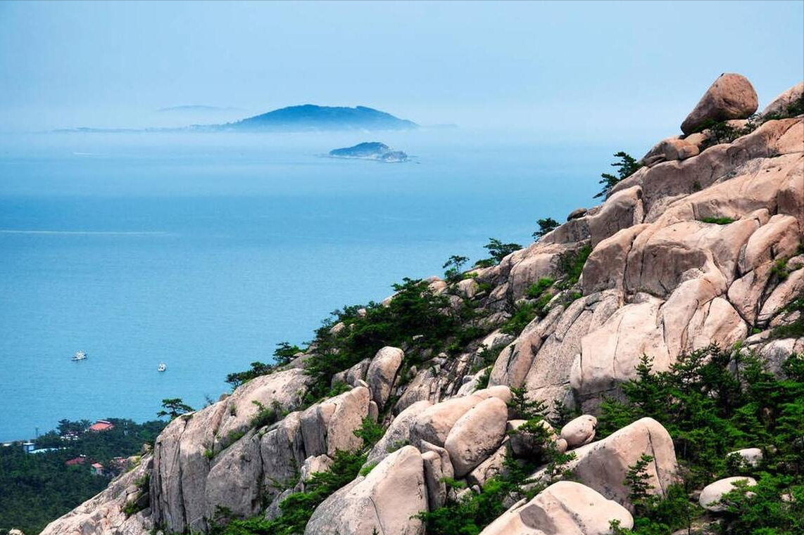 山东致敬，领导与同胞的深情汇聚