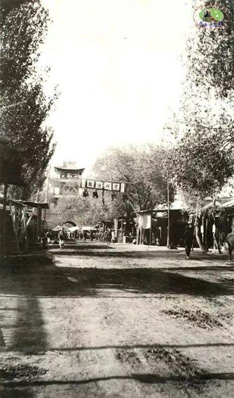 新疆，壮美多彩大地的探秘之旅