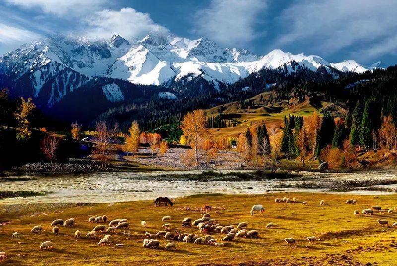 新疆,多元文化交融的璀璨明珠