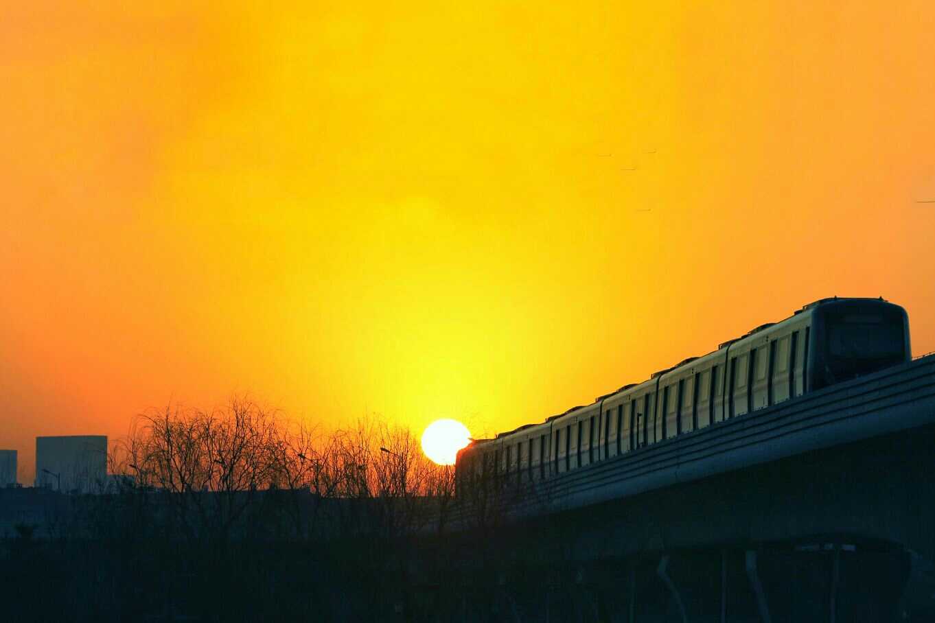 朝阳之光,探寻朝阳的魅力