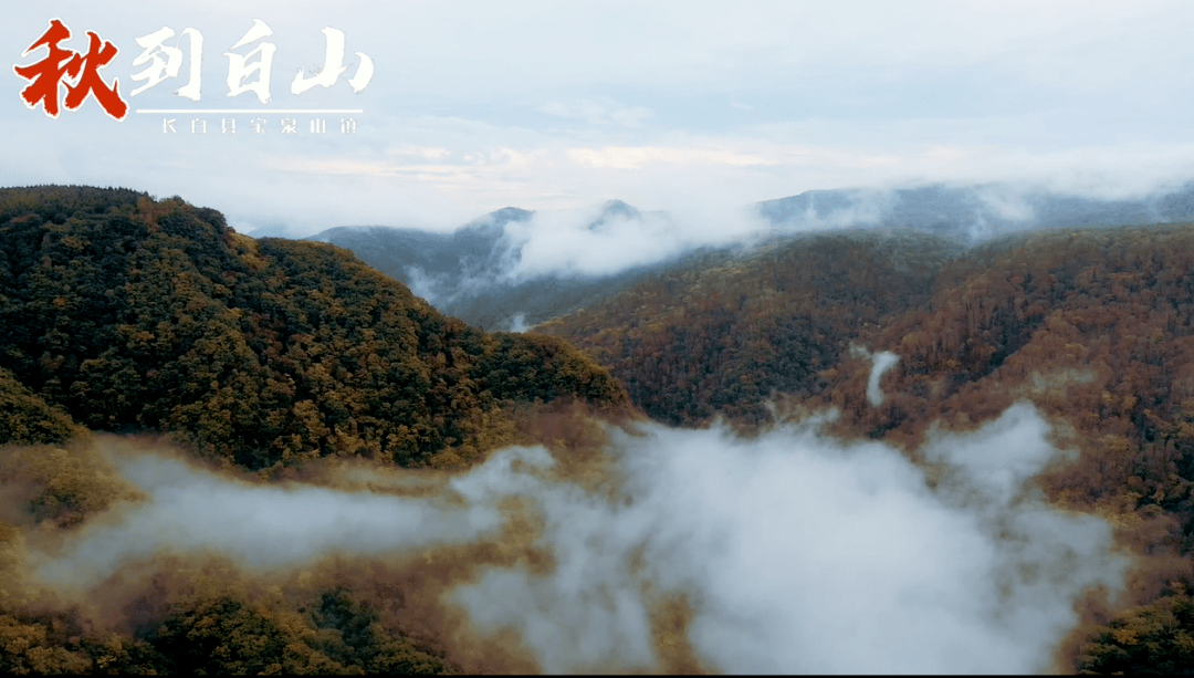白山，自然人文交融的独特魅力
